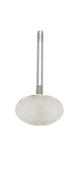 SBC 2.020 Intake Valve 11/32